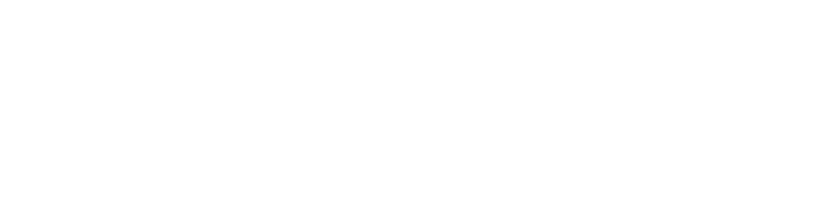 zur Startseite Hotel Seemansbraut Amrum - Logo